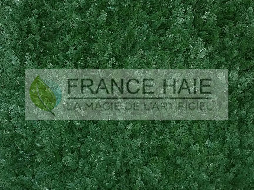 Imitation Cyprès vert – Prix à partir de 40 € TTC le m²