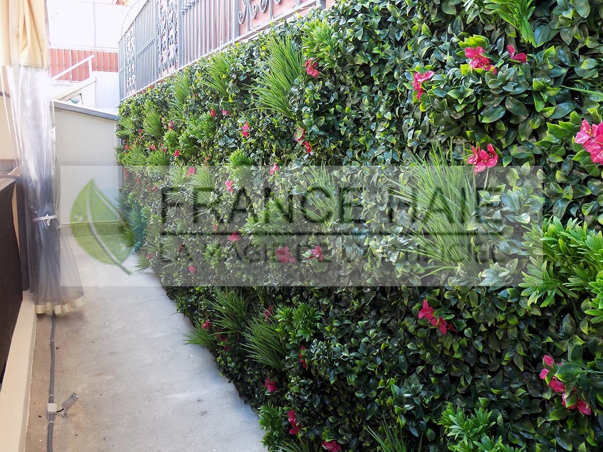 Mur végétal Bougainvilliers