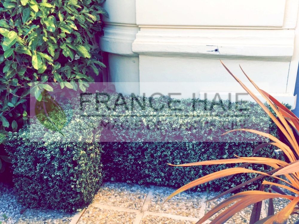 Terrasses et jardinières