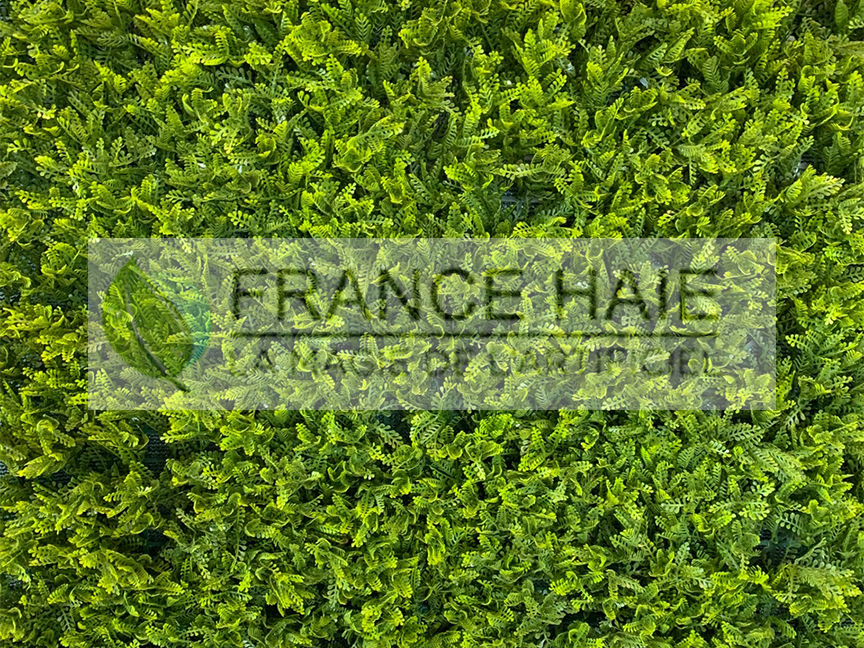 Réplique Acacia – Prix à partir de 40 € TTC le m²