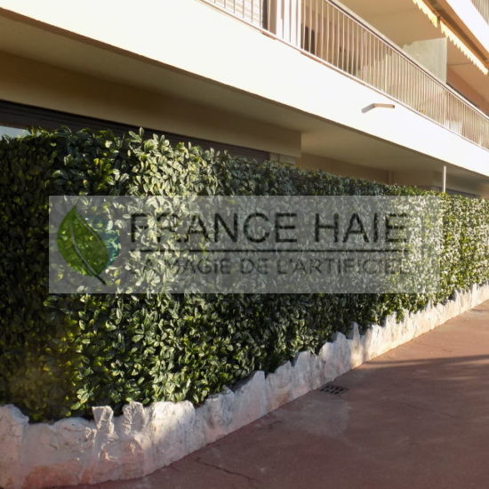 Réhabilitation de haies Pont Royal