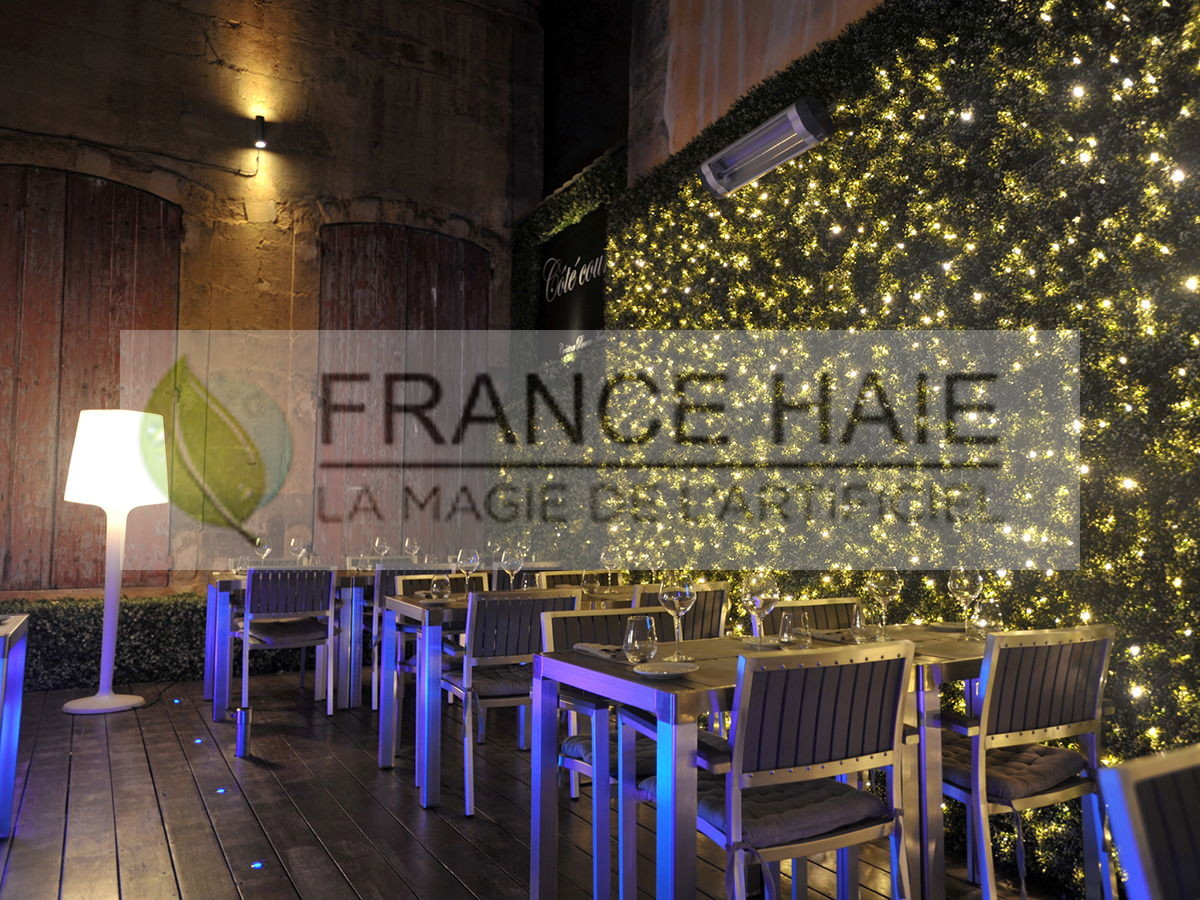 Mur végétal restaurant