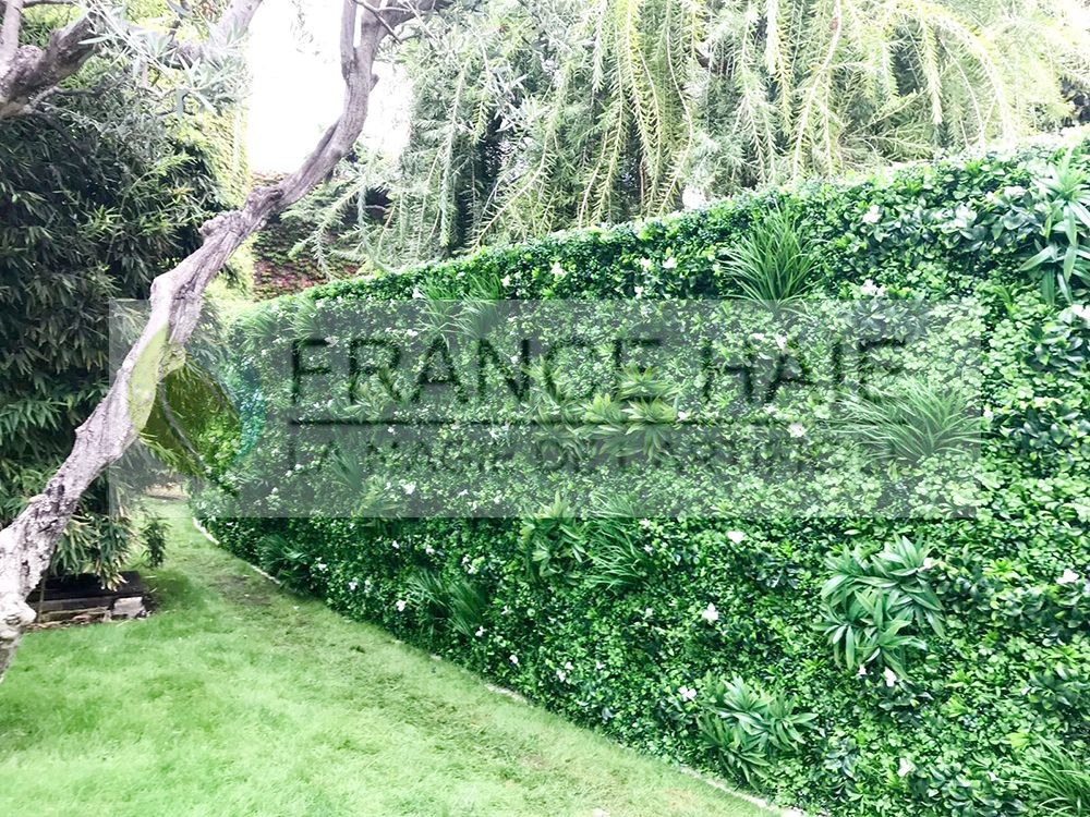 Réhabilitation de haies