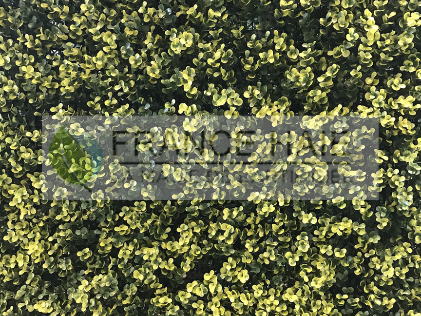 Réplique Buis vert – Prix à partir de 40 € TTC le m²