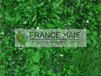 Liseron_Blanc-347x260